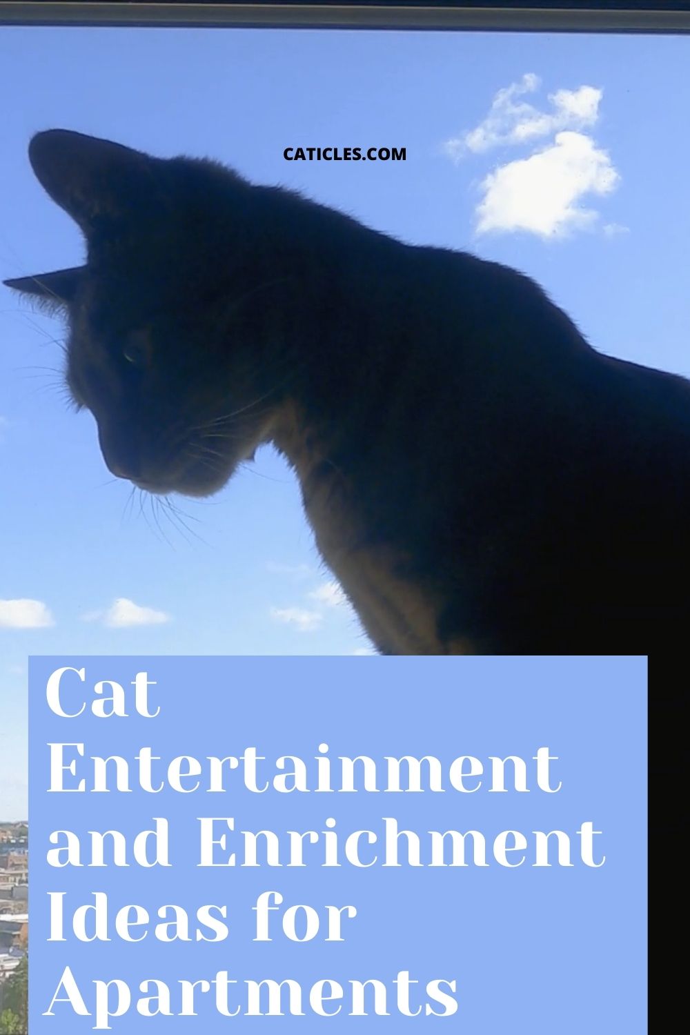 cat entertainment and enrichment pin image