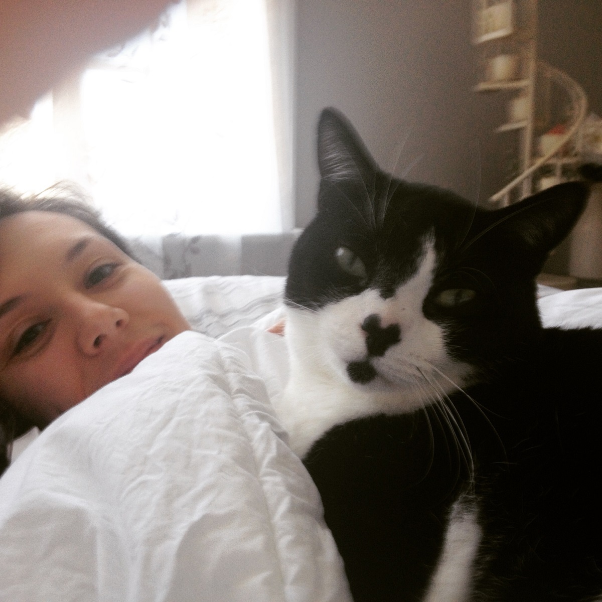 introduce yourself to a cat cat cuddling in bed with human