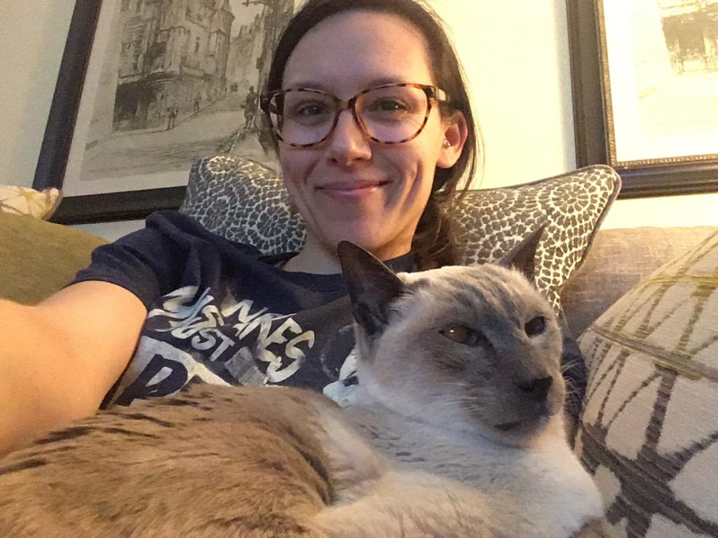 siamese cat on person's lap