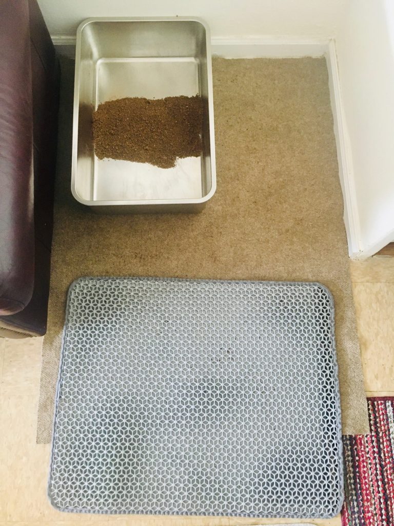 clean litter box area