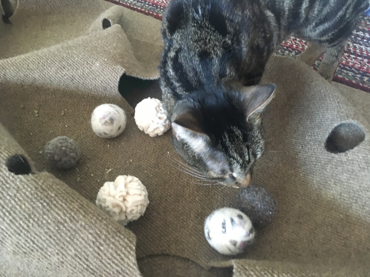 wool cotton chase toys purrfect play