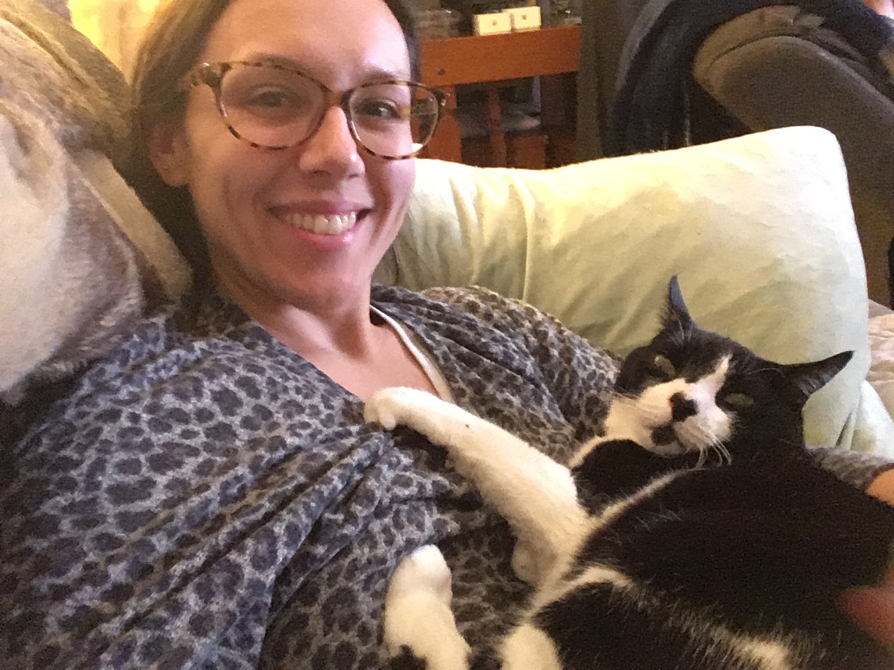 cat cuddling in human lap