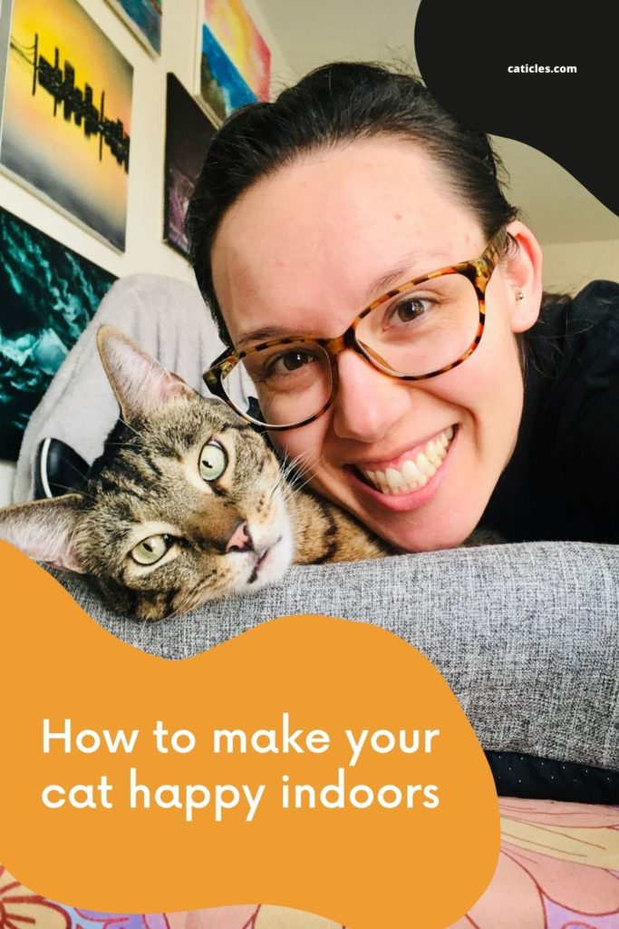 how to make your cat happy indoors jess caticles