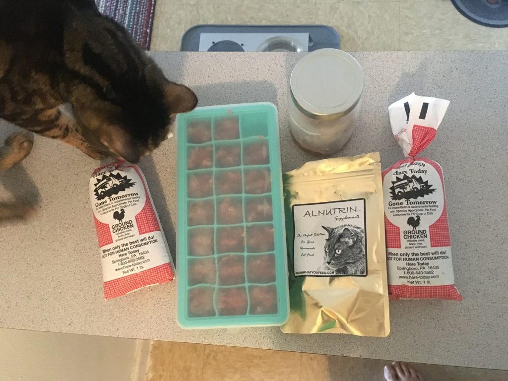 Best Raw Cat Food Delivery Jess Caticles