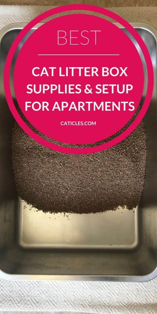 best cat litter box supplies jess and jericho caticles.com