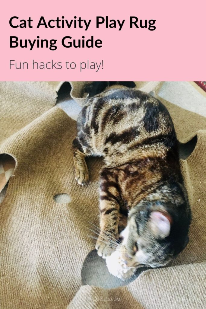 cat activity play mat