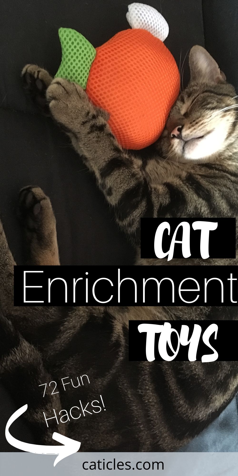 cat enrichment toys