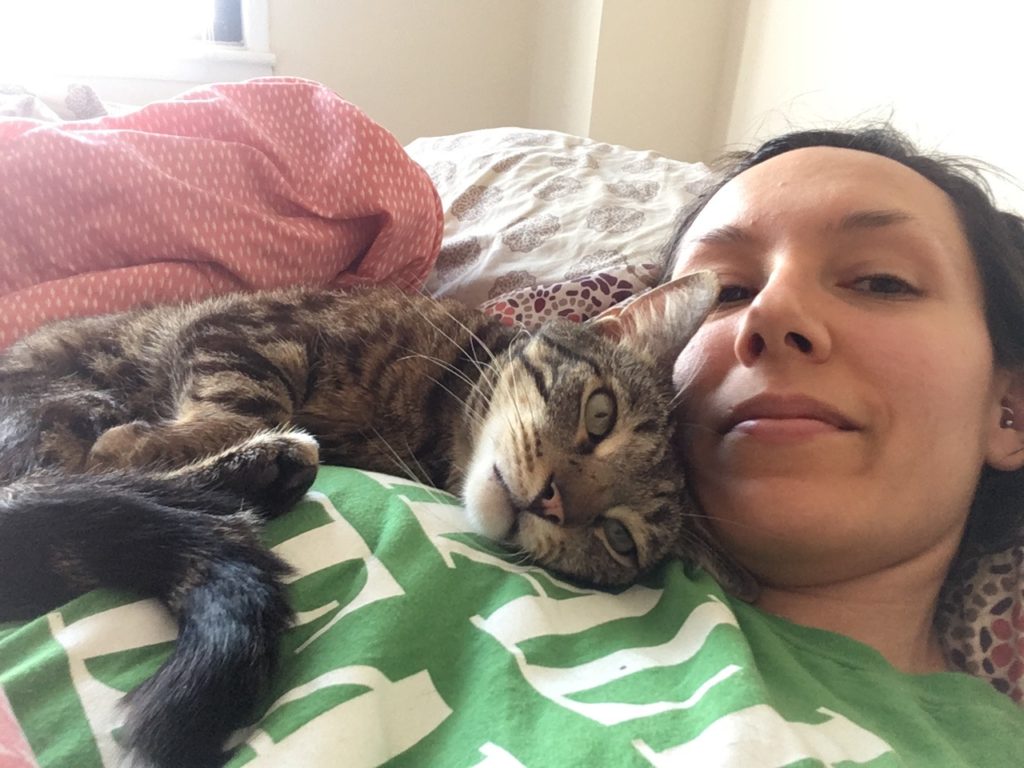 cat cuddling with human in bed