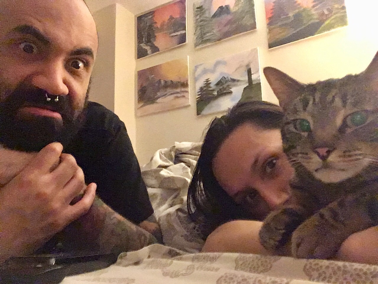 cat causing relationship problems no more cat cuddling with humans