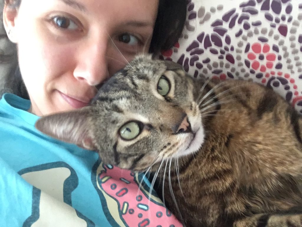cat laying on human