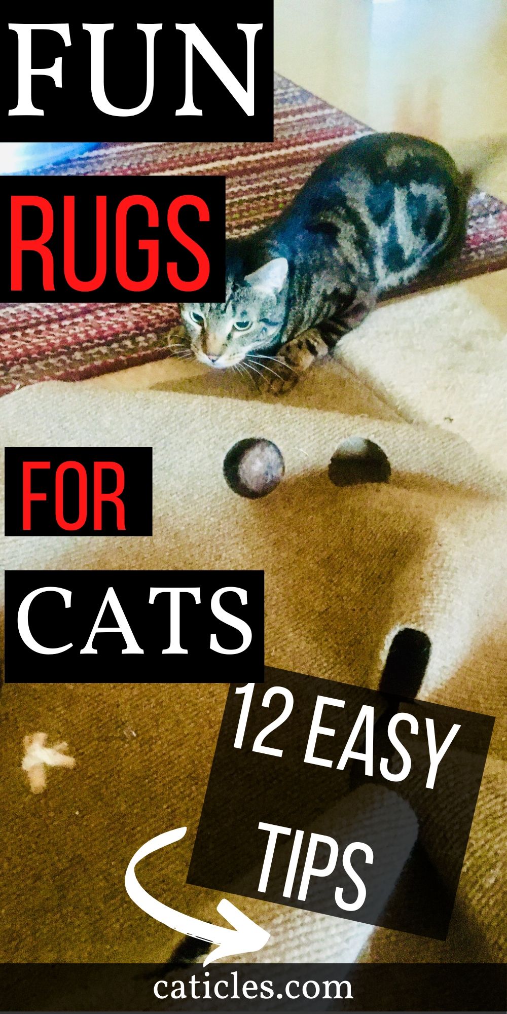 Fun Rugs for Cats | 12 Reasons Why the Ripple Rug is the Best - Caticles