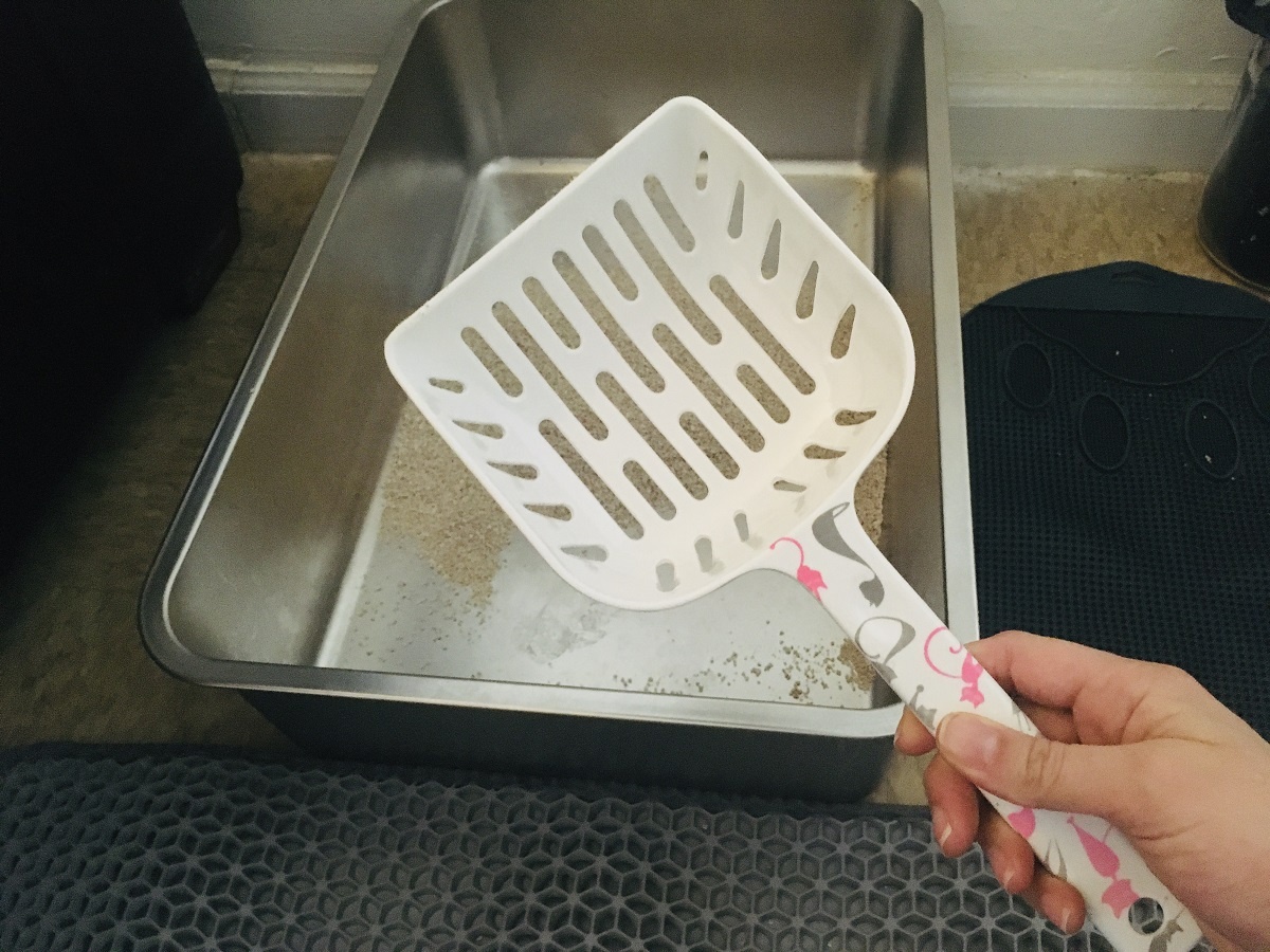 metal or ceramic scoop to keep litter area clean