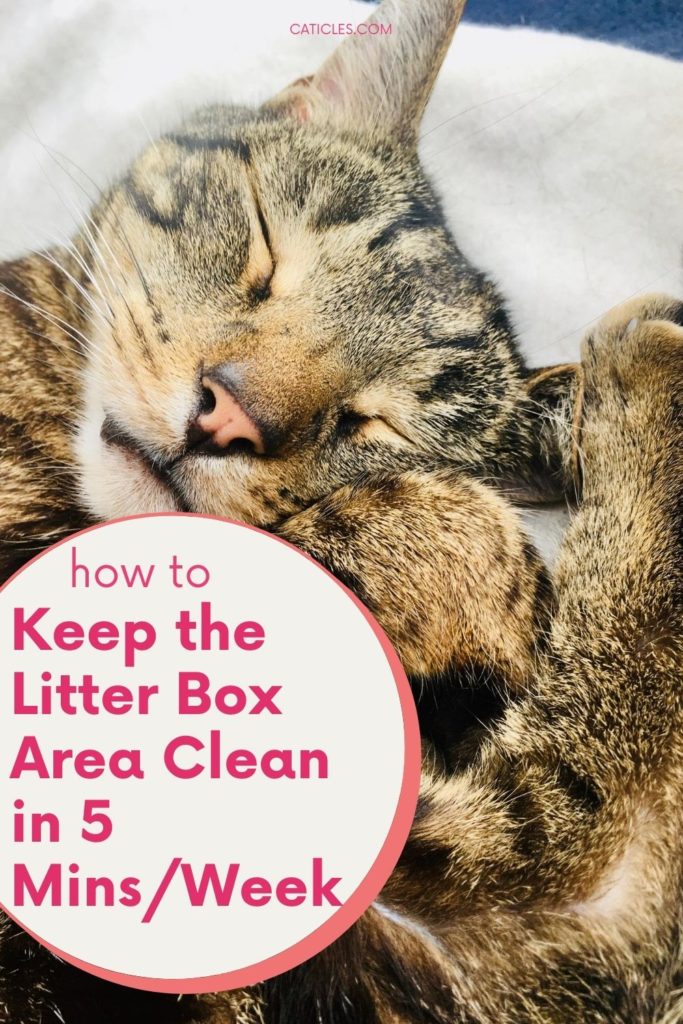 How to Keep Litter Box Area Clean Easily in 5 Mins/Week