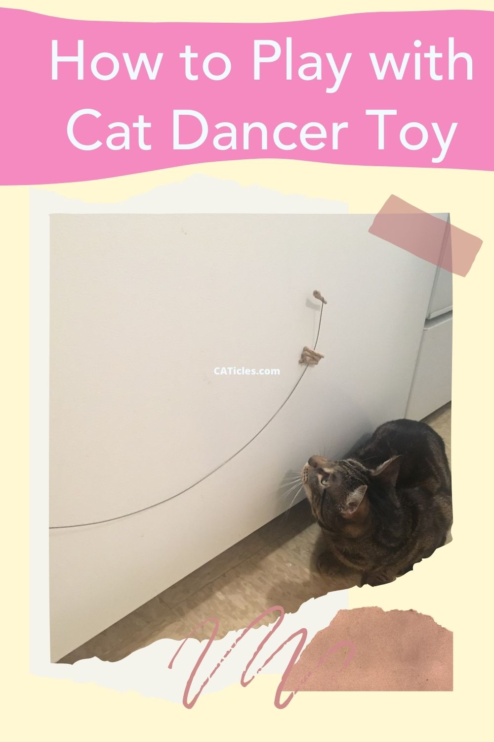 how to play with cat dancer toy pin image
