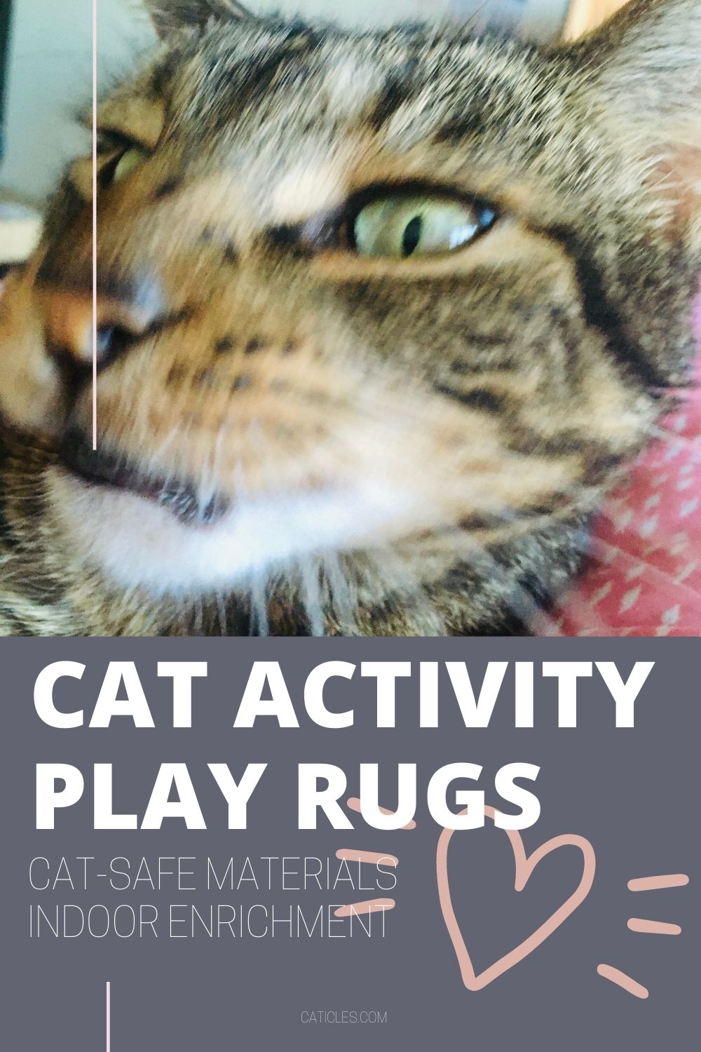 pin image cat activity play rugs indoor enrichment