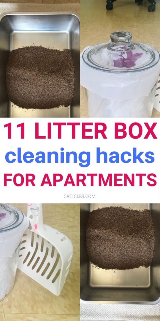 litter box cleaning hacks for apartments jess and jericho caticles.com