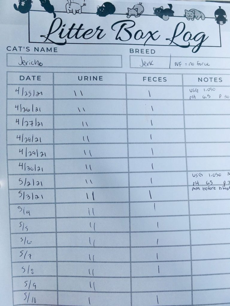 How to Keep Litter Box Area Clean Easily in 5 Mins/Week