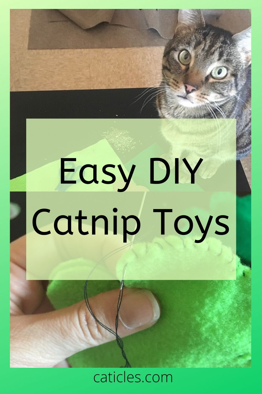 pin image easy diy catnip toys