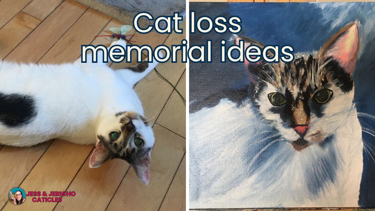 cat loss memorial ideas for pet loss grief jess and jericho caticles