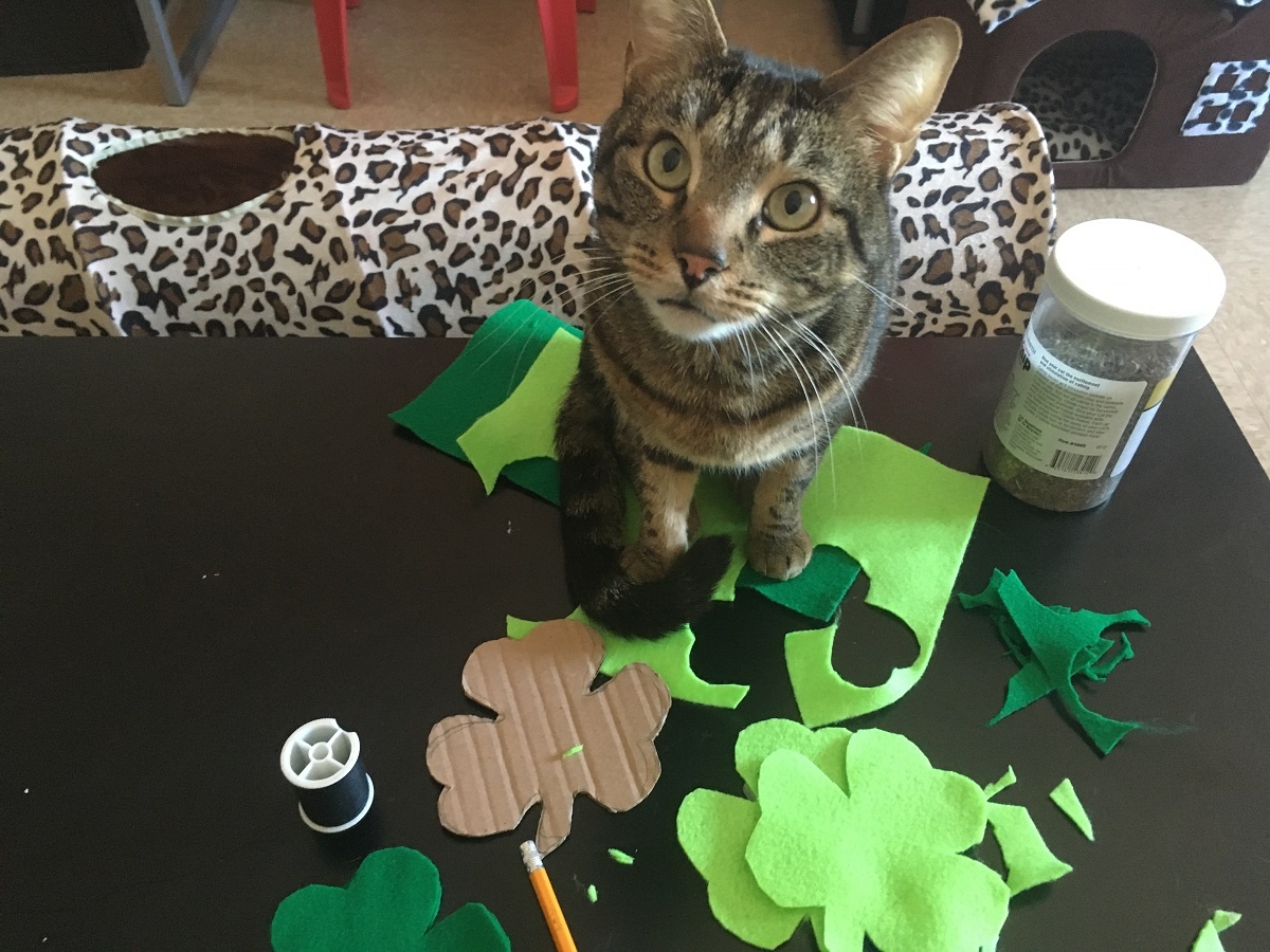 DIY catnip toys St. Patrick's Day