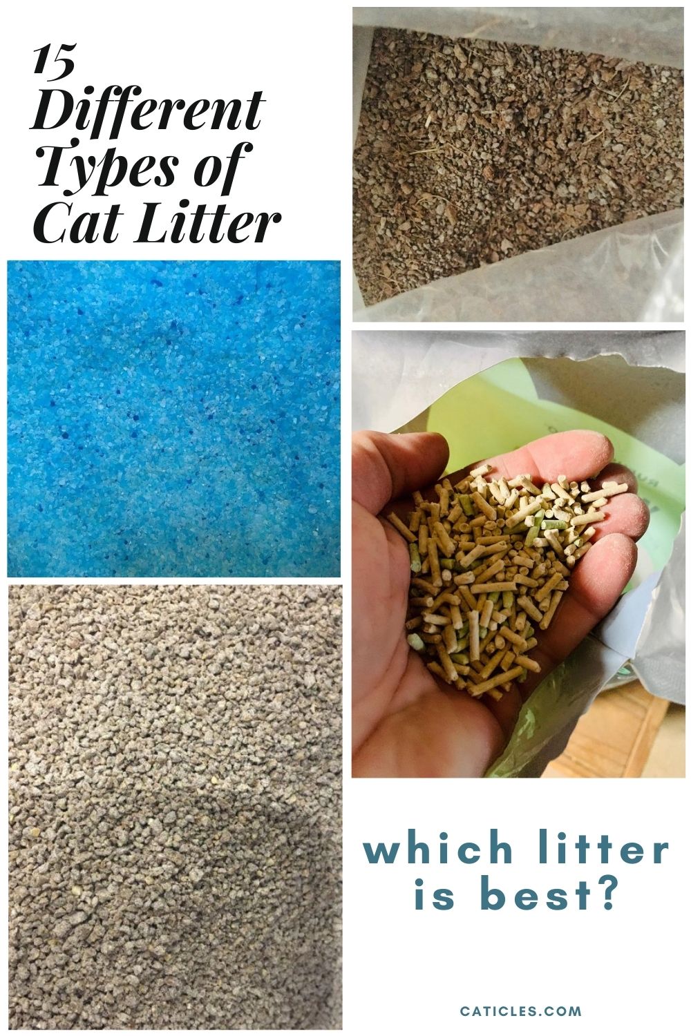pin image different types of cat litter 