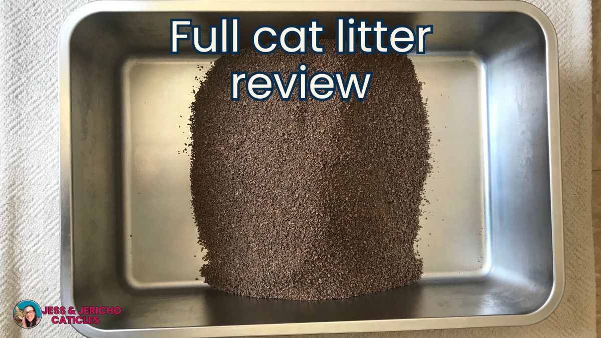 Is clumping litter bad for cats?