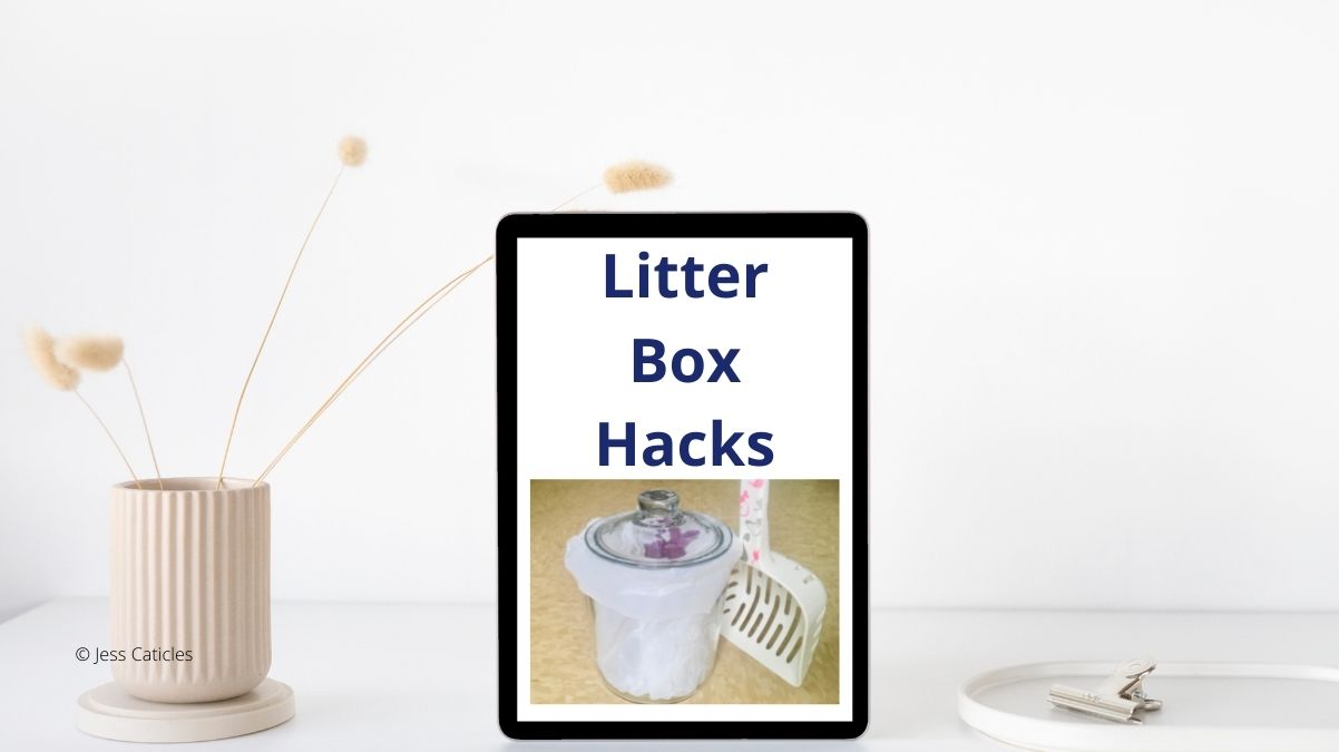 Litter Box Hacks That Keep the Box Clean