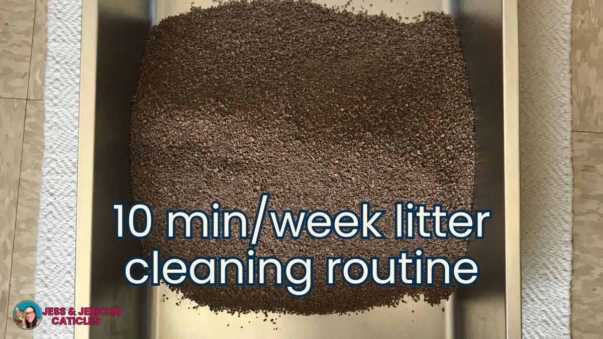 Easy litter cleaning hacks that keep the smell out