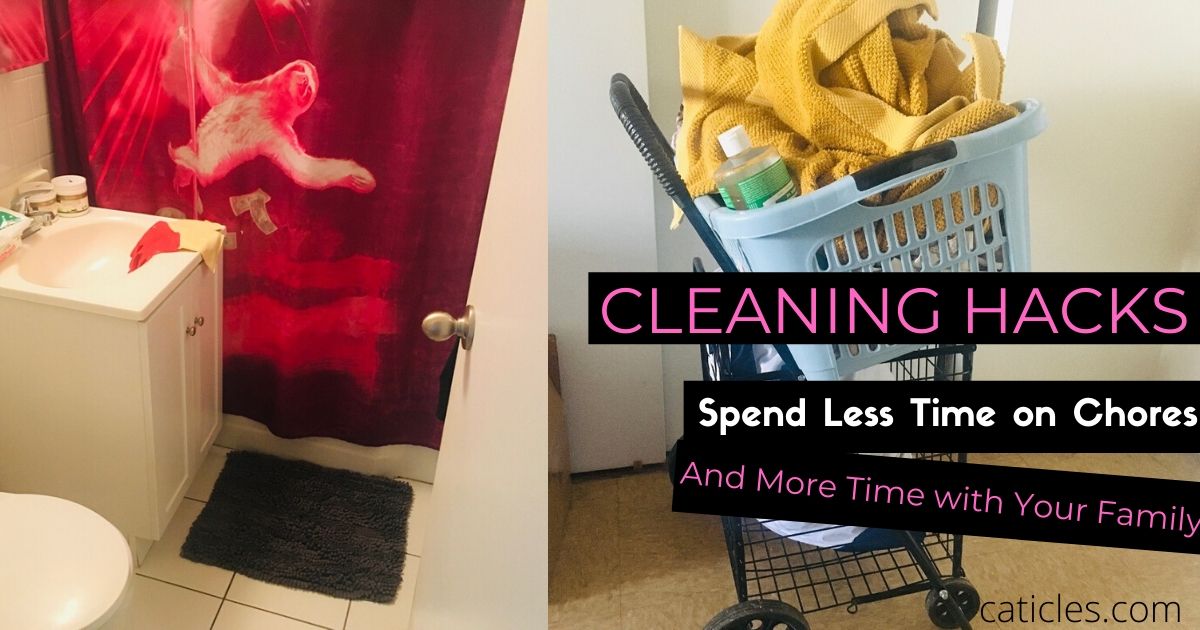 cleaning hacks spend less time cleaning and more time with your cat