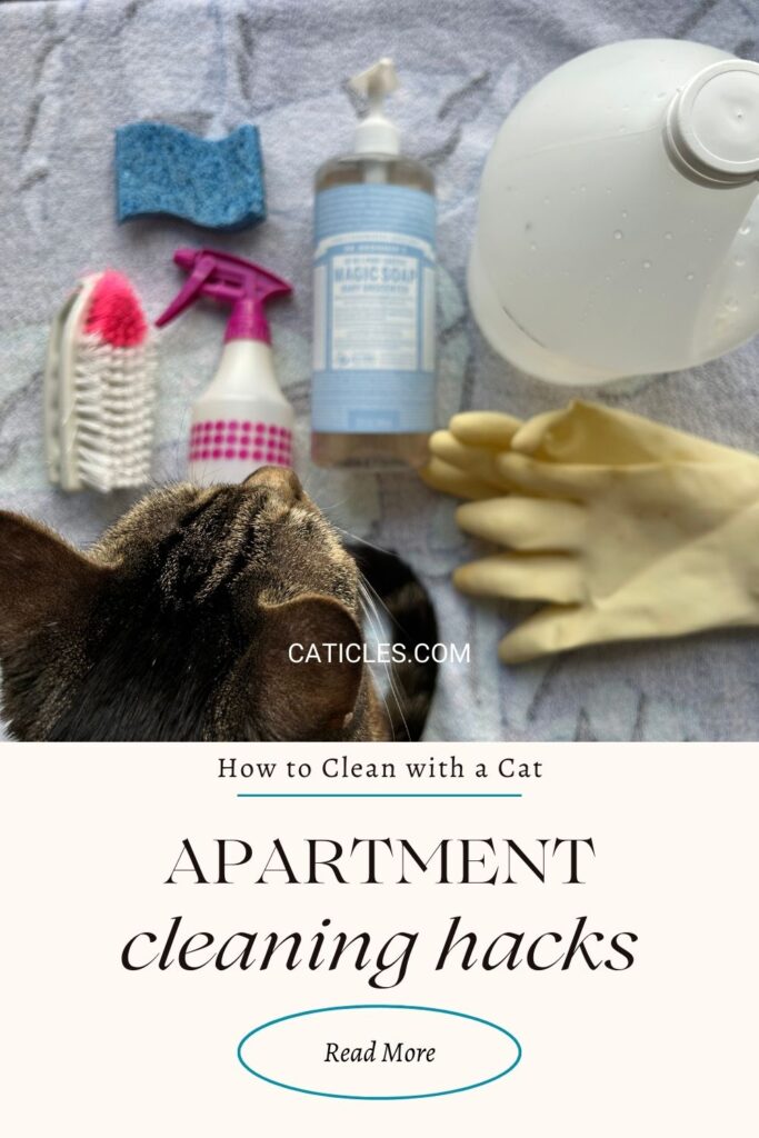 How I keep my apartment clean with a cat jess and jericho caticles.com