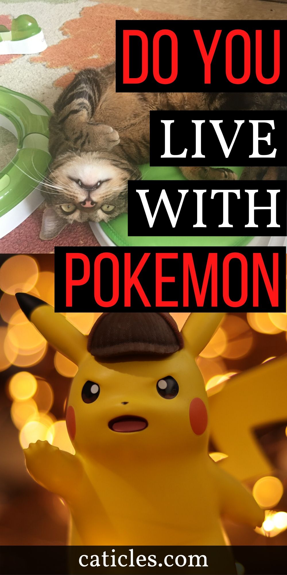 pin image do you live with pokemon