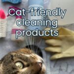 apartment cleaning supplies that are cat friendly jess and jericho caticles