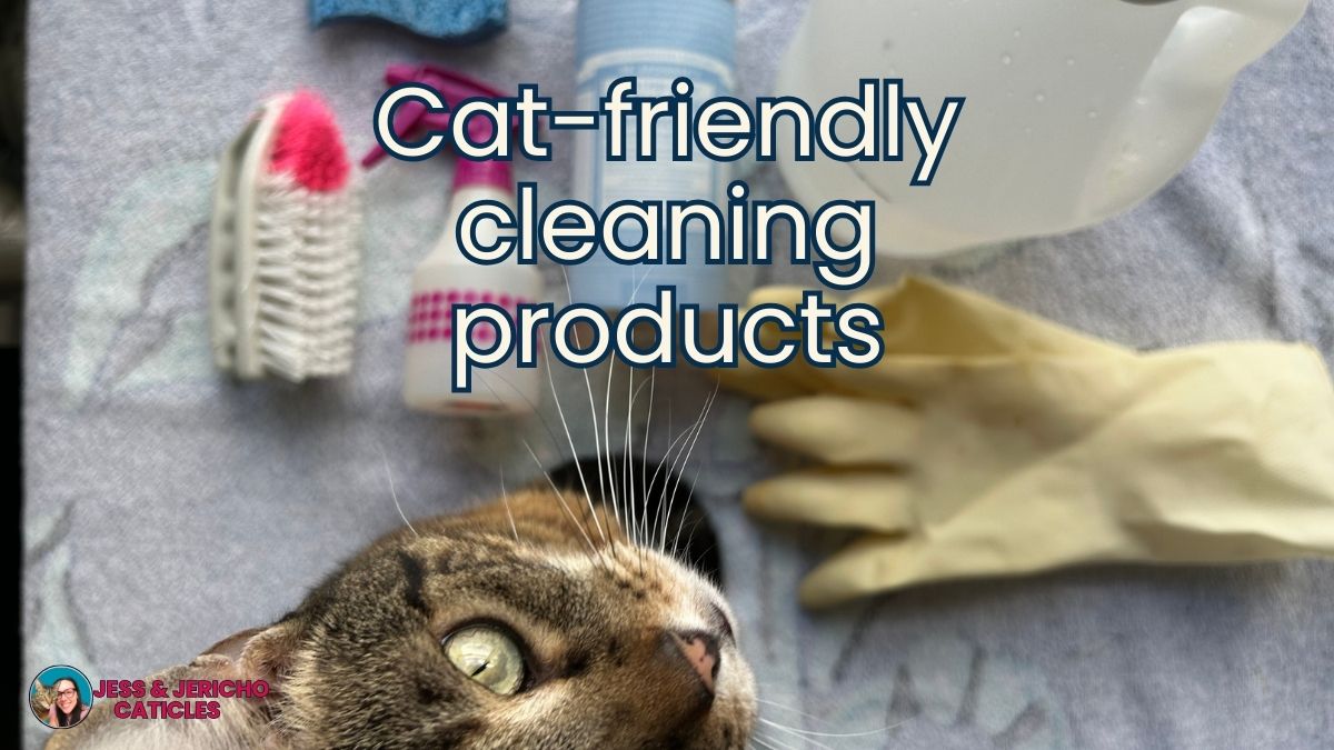 apartment cleaning supplies that are cat friendly jess and jericho caticles