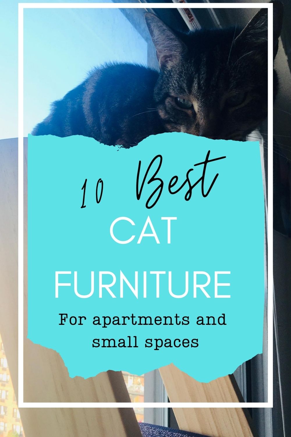 10 best cat furniture for small spaces pin image