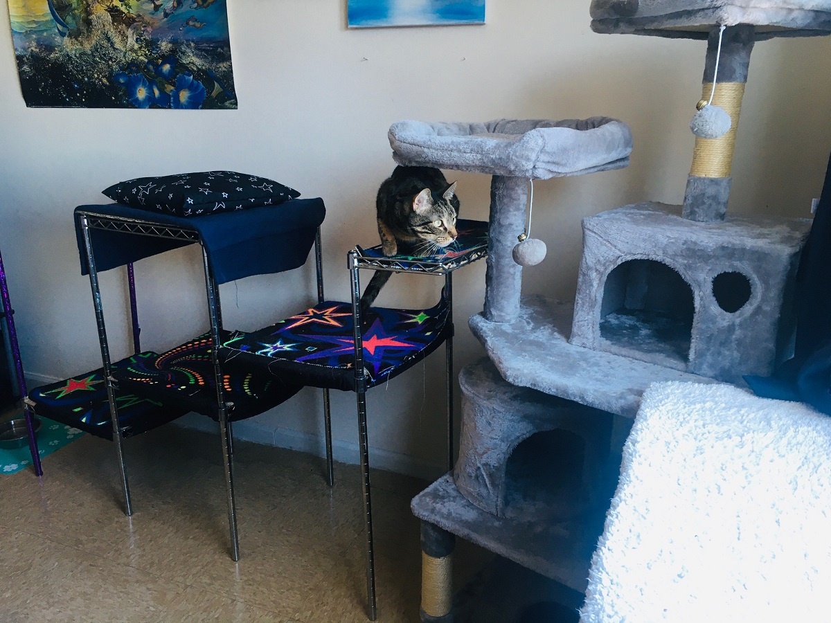 diy cat tree for apartment wire shelving