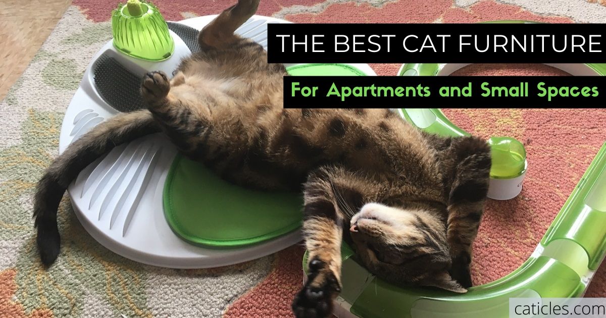 best cat furniture for apartments