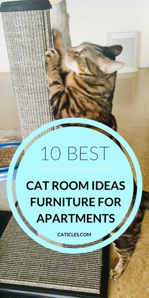 cat room ideas best cat furniture for apartments caticles.com