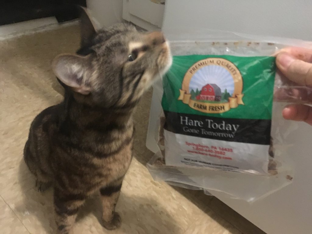 caticles hare today cat treats