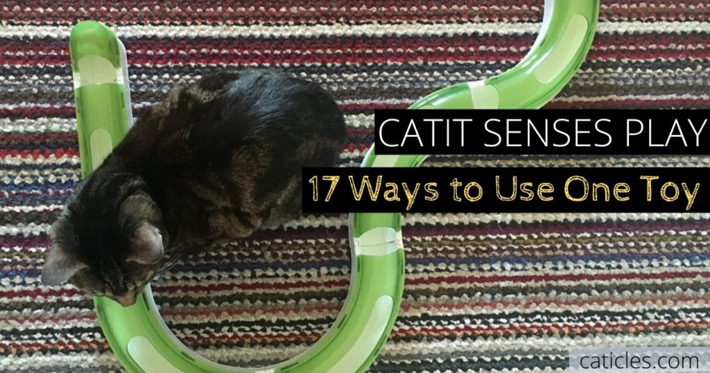 catit senses 2.0 cat digger cat toy