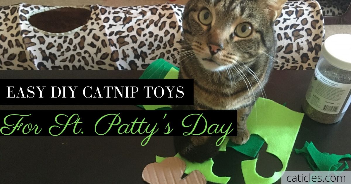 easy diy catnip toys for st patty's day