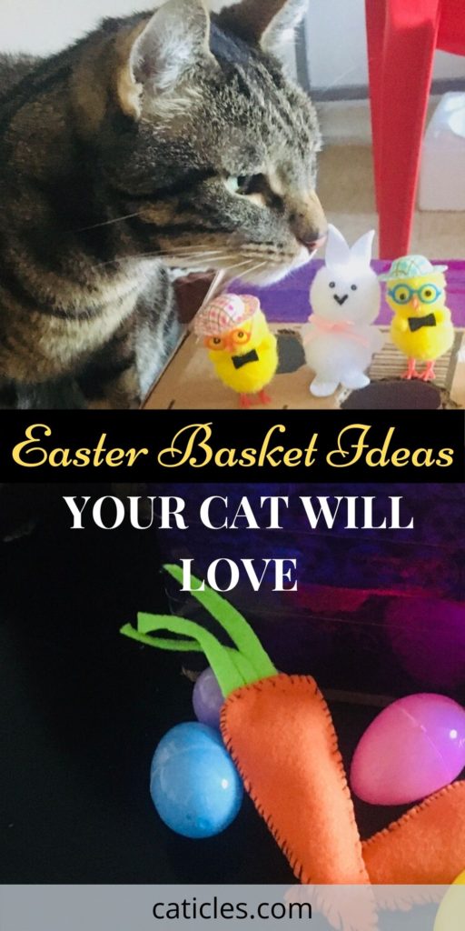 7 Cat Easter Toys, Gifts, and Basket Ideas You Will Love Jess Caticles