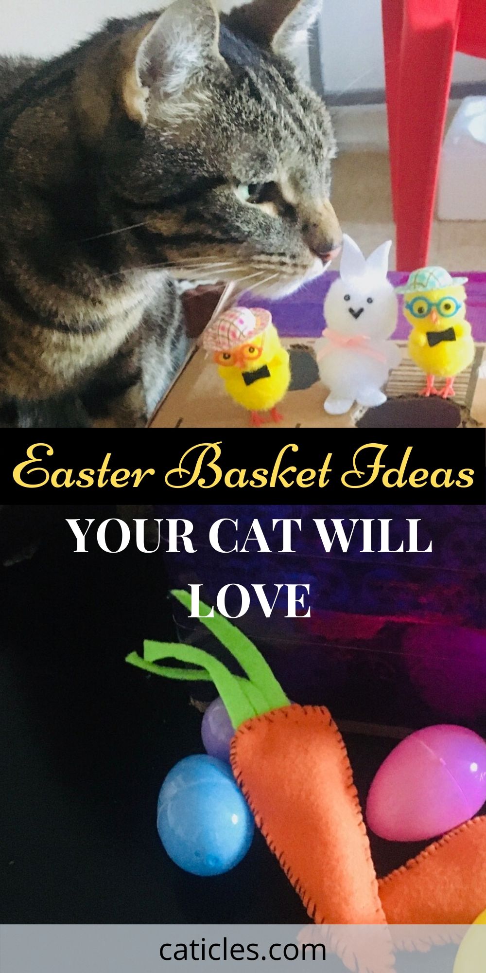 pin image easter basket ideas your cat will love