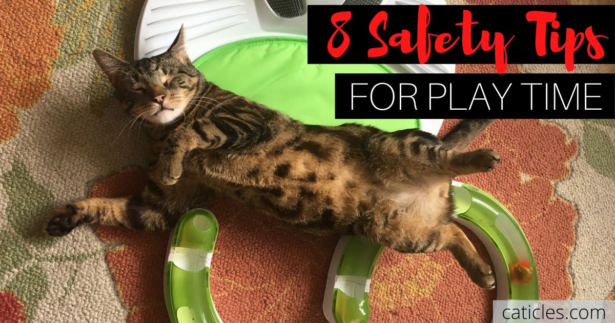 8 Easy DIY Cat Toys [+ Cat Toy Safety Guide]