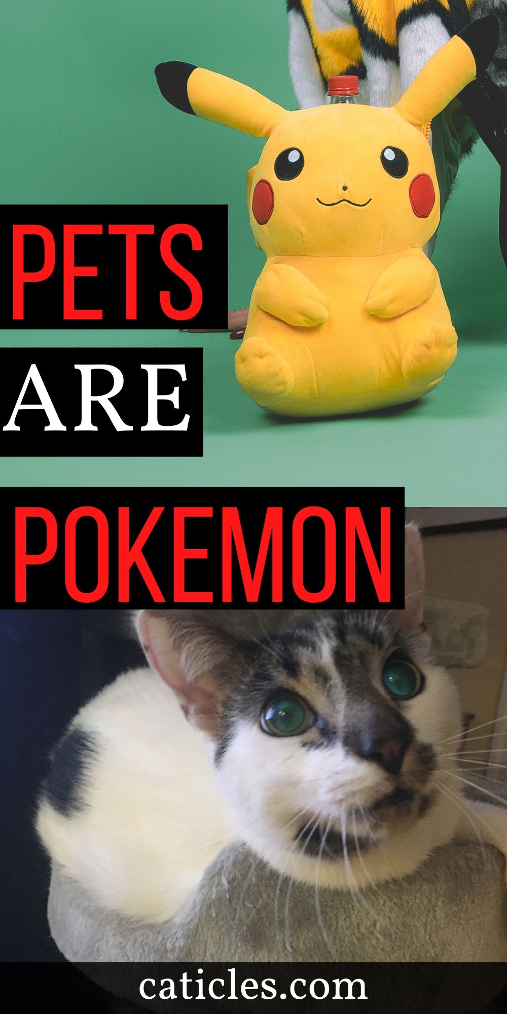 pin image pets are pokemon