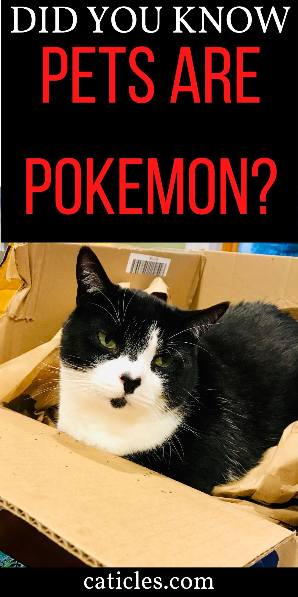 pin image did you know pets are pokemon