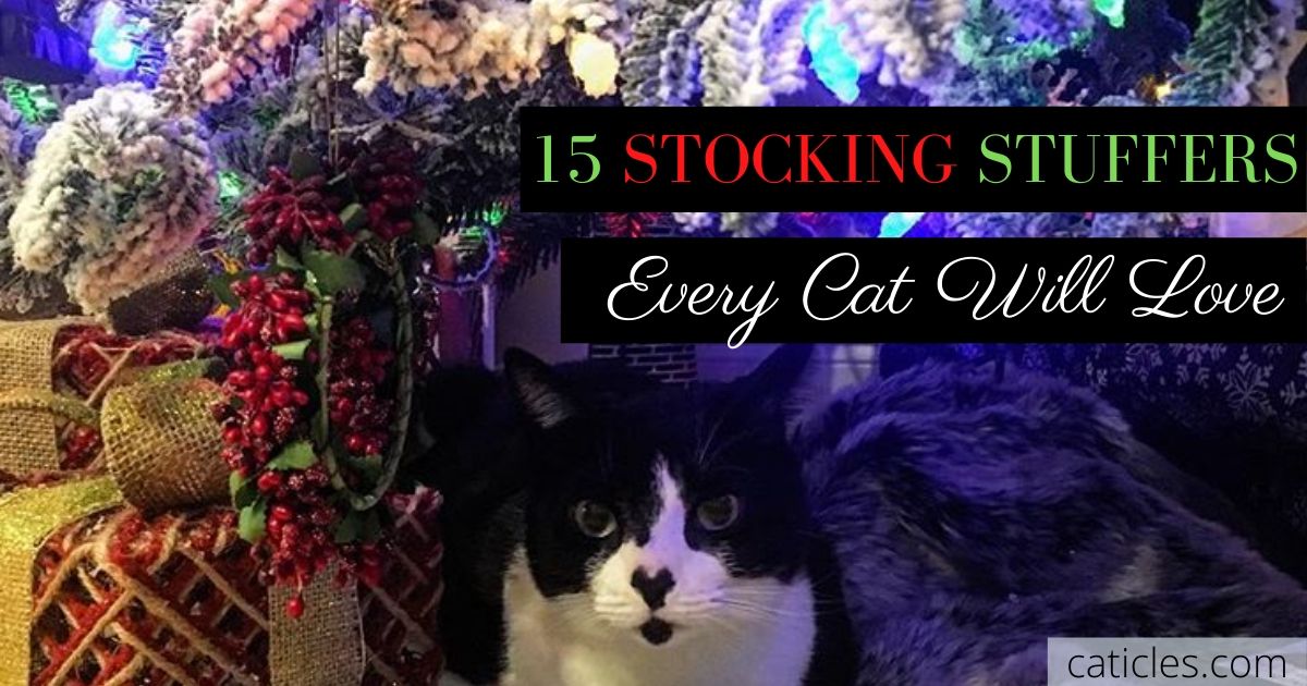 15 stocking stuffers every cat will love