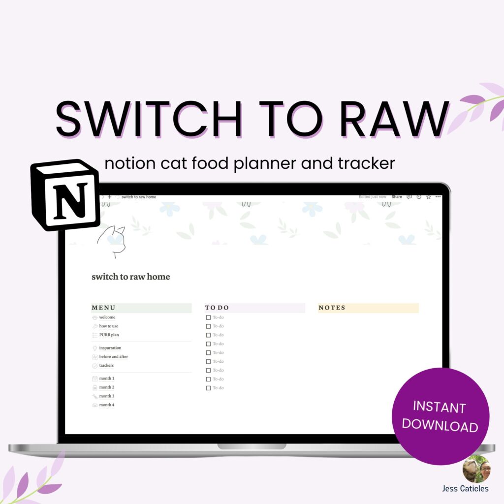 switch cat to raw notion planner
