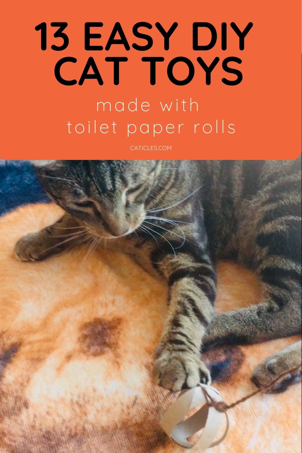 pin image easy diy cat toys toilet paper rolls