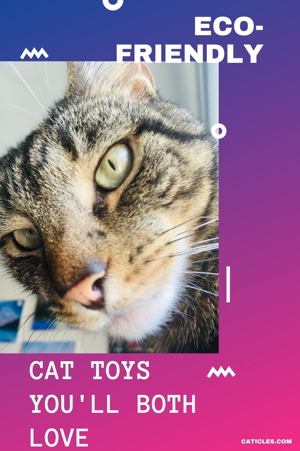 pin image eco friendly cat toys you'll both love