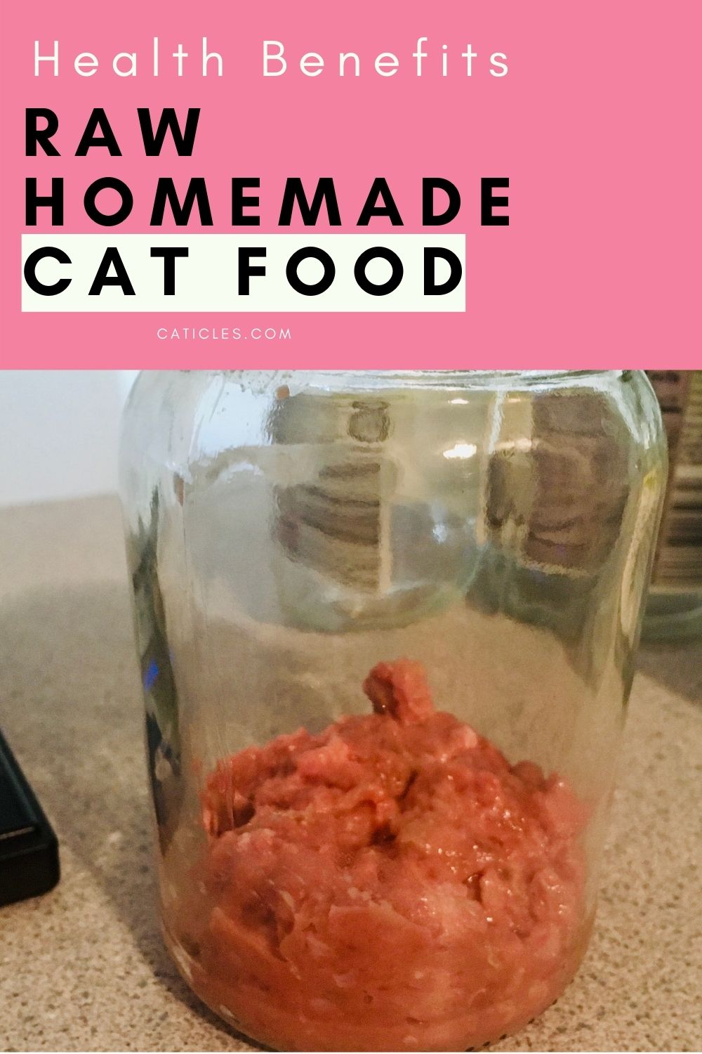Benefits Of Homemade Cat Food Recipes Jess Caticles
